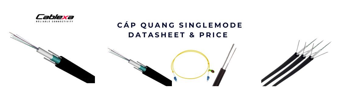 Cáp quang Singlemode 4FO – 8FO - 12FO: Giải pháp truyền dẫn tốc độ ánh sáng cho hạ tầng mạng hiện đại